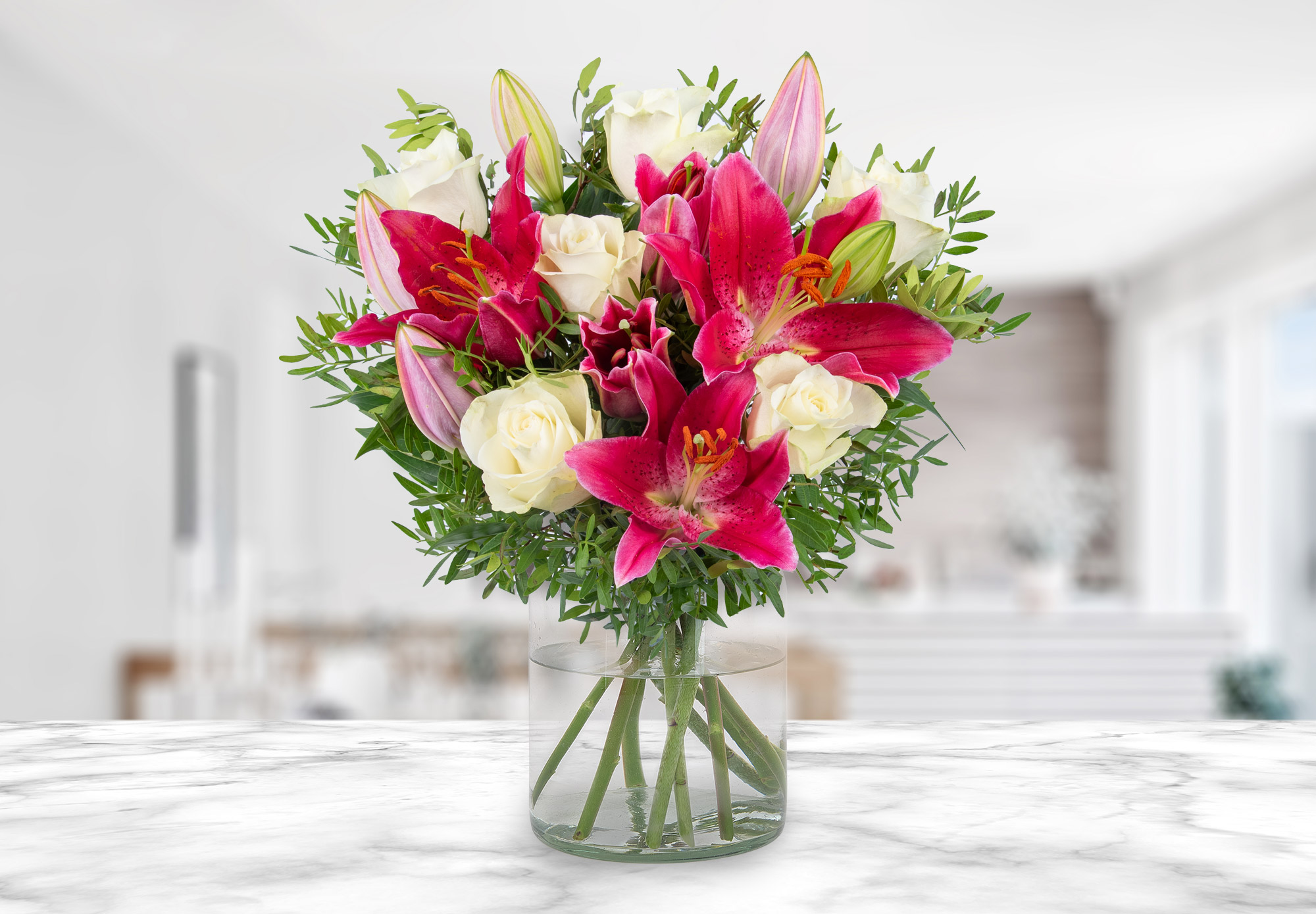 Stargazer Delight | Bargain Blooms